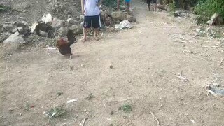 tupada. naunahan pero panalo padin.