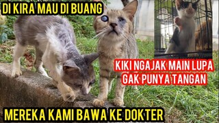 Mengharukan 2 Kucing Buta DiBawa Ke Dokter Malah Menangis Di Mobil Di Kira Mau Di Buang..!