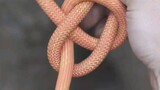 Most secure knot