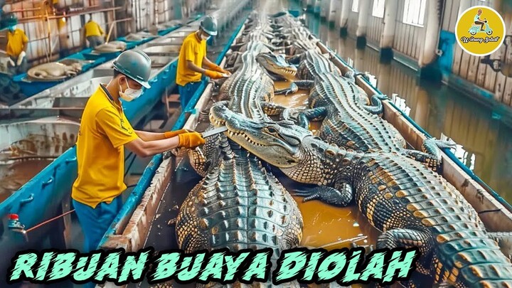 BEGINI RUPANYA PENGOLAHAN DAN PETERNAKAN HEWAN HEWAN UNIK