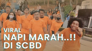 Tidak terima di video napi marah marah!!!