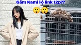 Gấm Kami lên tiếng về lộ clip 12 phút - Top comment hài bá đạo nhất trên Face Book.