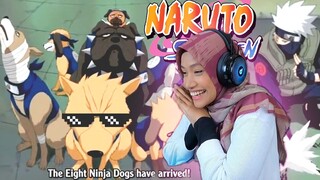 White Fang?! The Legend of Konoha?!🔴How Naruto Changes Kazekage🔴Naruto Shippuden Episode 11 Reaction