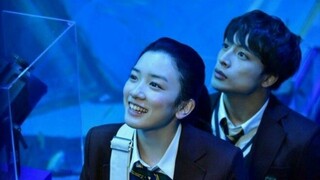Till We Meet Again on the Lily Hill - BiliBili