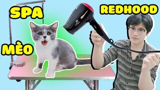 MỀU VÀ REDHOOD ĐI SPA CHO CHÚ MÈO THÁI TỬ VÀ CÁI KẾT ( SPA CHO MÈO )*CẶP ĐÔI SIÊU QUẬY*TX VLOG