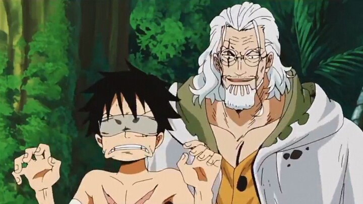 "Thank You, Rayleigh" — Luffy Training Haki Moments