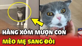 Hàng xóm mượn con bị Mèo Mẹ sang tận nhà đòi lại 😂 | Yêu Lu