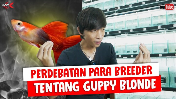 CARA MEMBACA JENIS ATAU NAMA IKAN GUPPY BUAT PEMULA