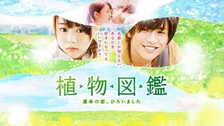 [ENG SUB] Evergreen Love