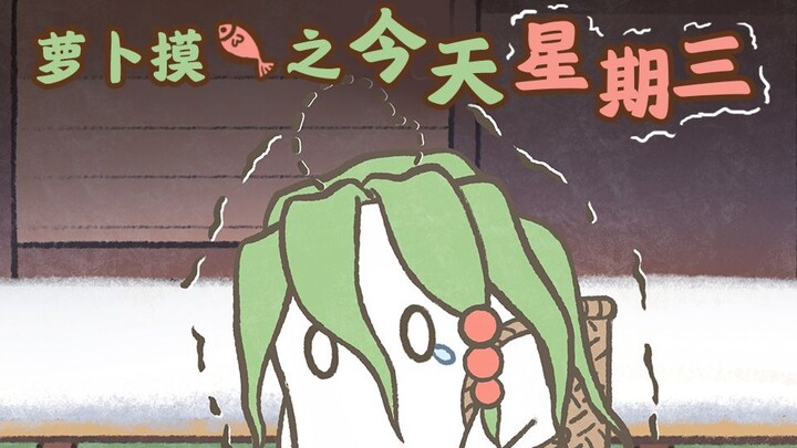 萝卜摸鱼之今天星期三