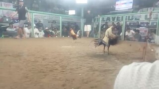 HIRAW.. Ayun tabla. agresibo kasi. SAYANG