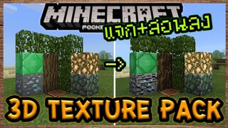 แจก+สอนลง Texture Pack 3D ทำให้เกมสมจริงขึ้นใน Minecraft PE ไม่แลคด้วย