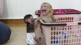 OMG!! Little Monkey Maku Crying Seizures Angry Mom Late Prepare Milk For Him