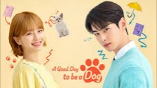 A Good Day To Be A Dog Episode 11 Tagalog Dubbed