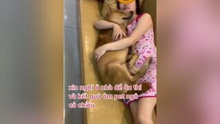 Tại Ngô đáng iu quá nên sen ko học nổi phải ôm ngô ngủ 😒😒hôm này thi thế nào đây 😂😂chó chó_cưng dog foryou ônthi#chămhoc