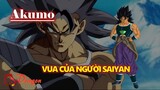 [Dragon Ball]. Hồ sơ Akumo - Vua của người Saiyan #nghỉ hè