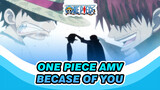 Because Of You | One Piece | Sad AMV_1