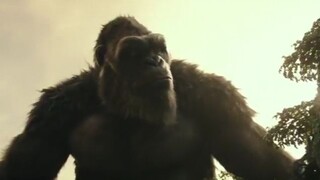 (2024) film kong vs godzila