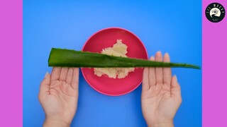 Thủ Công Hay Ho Và Mẹo Làm Đẹp Tự Nhiên! - PHẦN 2 #kienthuc
