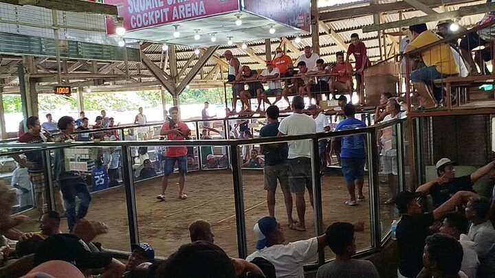 Dec. 14 2024 (Square Garden Cockpit Arena - San Miguel Bohol)