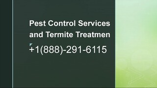 Bed Bug Treatment 🎯1888↩291↩6115☎️Spraying for Bugs 🌸USA-Toll Free