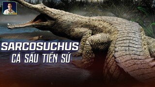 SARCOSUCHUS - CÁ SẤU KHỔNG LỒ CHẤP CẢ KHỦNG LONG