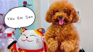 Nhớ Em Sen | Clip Lật Mặt Của Sen 2018