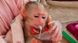 OMG, Help!! Tiny adorable Luca drinking a lot of milk until vomits