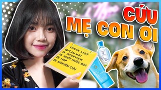GẤU CỨU MẸ LINH KHỎI HÌNH PHẠT DỌN PHÒNG MISTHY