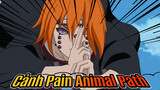 Pain duy nhất- Cảnh Animal Path thứ 2 | Naruto