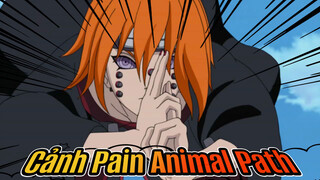 Pain duy nhất- Cảnh Animal Path thứ 2 | Naruto