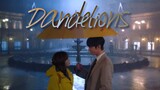 Shin Ha Ri & Kang Tae Moo - Dandelions │ Buissness Proposal
