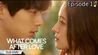 What Comes After Love Episode 1 Sub Indo
