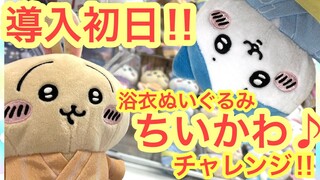 【ちいかわ】ちいかわ浴衣ぬいぐるみ！！導入初日チャレンジ！！ちいかわハチワレうさぎの可愛い浴衣ぬいぐるみ＾＾