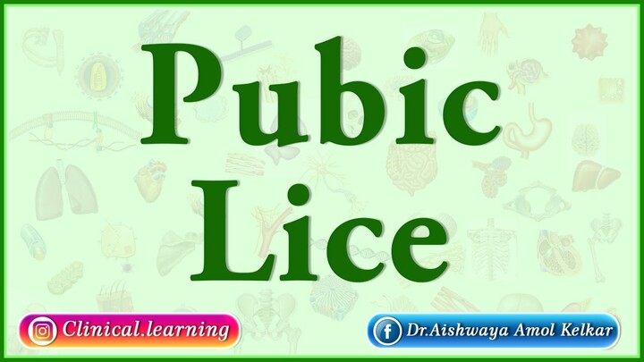 Pubic lice : Types and Causes
