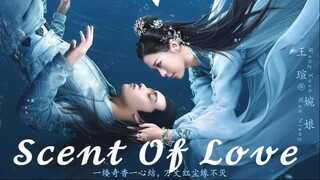 Scent Of Love (2022) Episode 13 | English Sub.