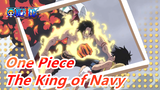 [One Piece] The King of Navy