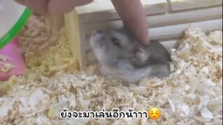 เล่นได้ทุกเวลาจริงๆเลยน้า