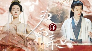 [Xiao Lin×Ye Bingshang] [Changyue Jinming] I will love you no matter what you become