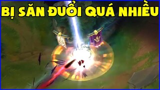 Đây chính là giác quan được sinh ra khi bị săn đuổi quá nhiều, Lần đầu nhìn thấy con mắt trâu đếnthế