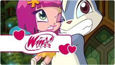 Winx Club - Sezon 3 Bölüm 14 - Öfke