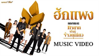 ฮักแพง (เพลงจากละคร ทายาทพันธุ์ข้าวเหนียว) - รวมศิลปิน 【MUSIC VIDEO】