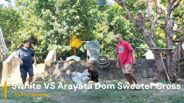 Swhite VS Arayata Dom Sweater Cross P1