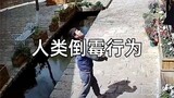 “人类倒霉行为大赏”