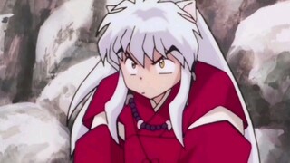 [InuYasha] Khoảnh khắc dễ thương đầy năng lượng 1 của Ergozi