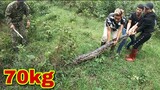 Thu Phục Quái Vật Khổng Lồ 70kg , Giant Python | Săn Bắt Ẩm Thực Vùng Cao