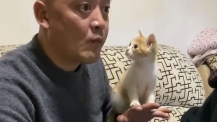 “这就是当初不准你养猫的父母吗？”