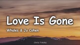 Whales & Jo Cohen - Love Is Gone (Lyrics)