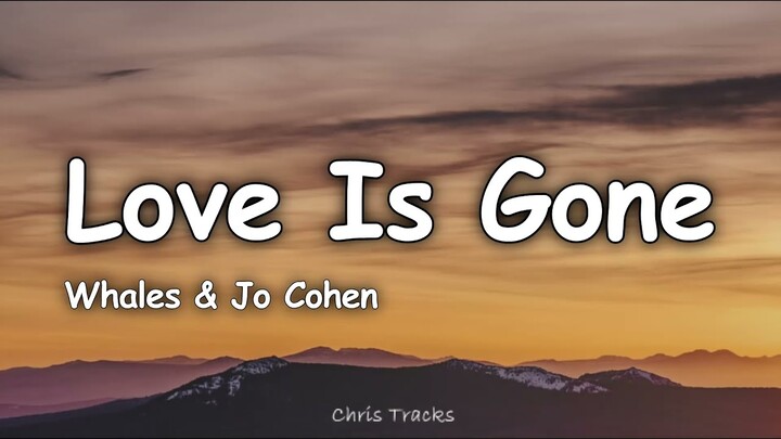 Whales & Jo Cohen - Love Is Gone (Lyrics)