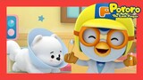 Lagu Pergi Ke Dokter | Anak Anjing! Kakinya Sakit | Lagu Anak anak | Pororo Si Penguin Kecil